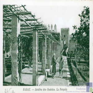 Rabat - Jardins des Oudaïas - la pergola