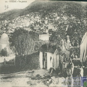 Ouezzan - vue générale