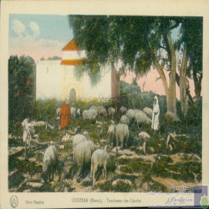 Ouezzan - tombeaux des chorfas