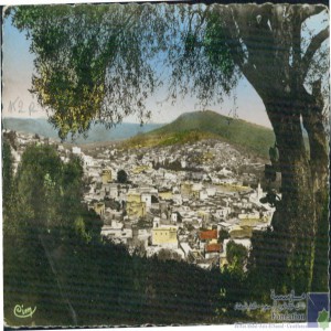 Ouezzane - vue générale