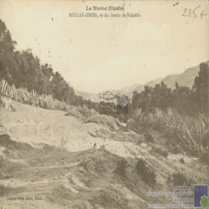 Moulay-Idriss, vu du chemin de Volubilis